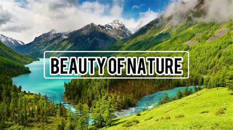Beauty Of God S Creation Nature Full HD Video YouTube