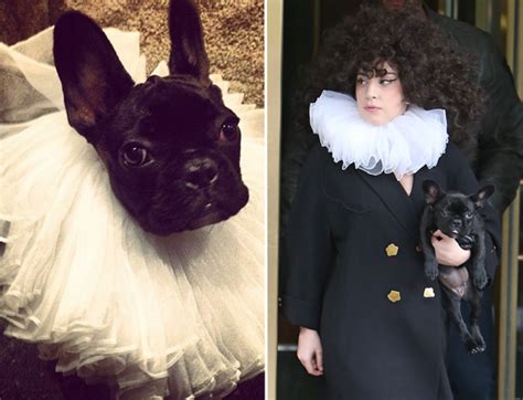 Lady gaga's dogs were targeted by thieves wednesday night. Who Wore A Tudor Ruff Better: Lady Gaga Or Her Dog? - MTV