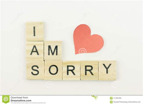 Text Wooden Blocks Spelling The Word I Am Sorry On White