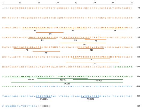 Amino Acid Sequence And Linear Epitopes Of Gmz26c Hybrid Protein