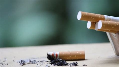 Jenis Jenis Rokok Yang Wajib Anda Ketahui Tobakonis