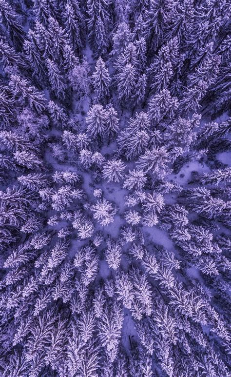 Purple Snow Wallpapers Top Free Purple Snow Backgrounds Wallpaperaccess