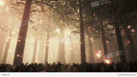 Deep Forest Fairy Tale Scene Fireflies 3d Render Stock Animation 1246675