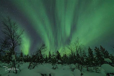 The Night Sky Above Kaaresuvanto Finnish Lapland