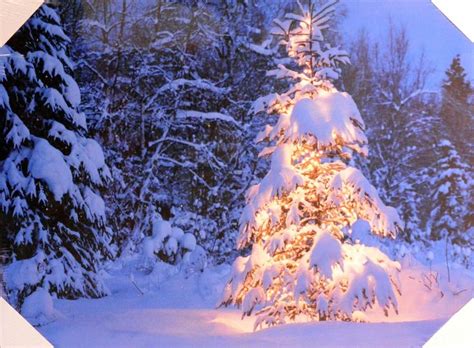 49 Best 2015 Frozen Christmas Tree Images On Pinterest Frozen
