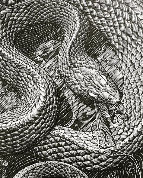 Snake Scales Drawing At Explore Collection Of