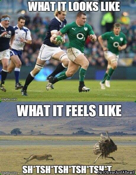 Rugby positions have always been characterised by the notion that the sport is a game for all shapes and sizes. What it looks like. What it feels like. | RugbyNation.com | Pinterest | Rugby, Rugby memes and ...