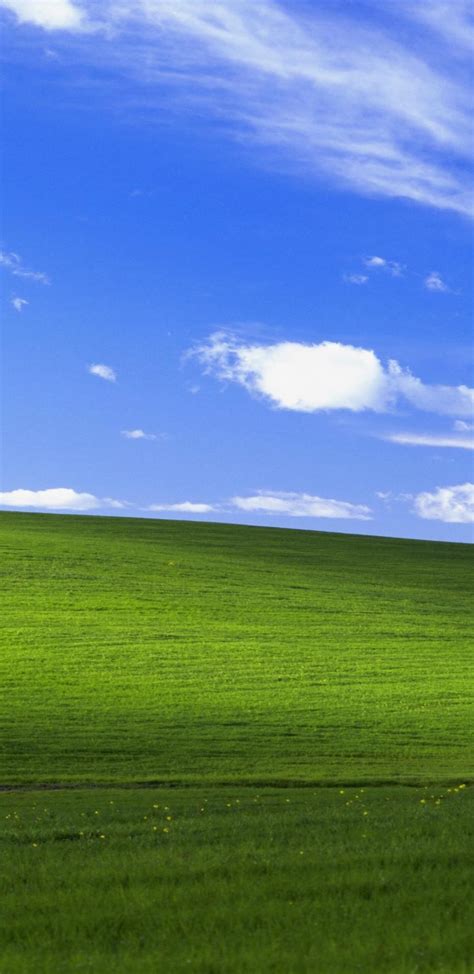 1920x1080 windows 10 android hd wallpaper. 1440x2960 Windows Xp Bliss 4k Samsung Galaxy Note 9,8, S9 ...