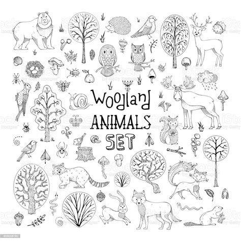 Vector Doodles Woodland Animals Set Stock Illustration