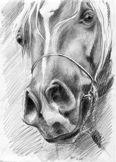 Chrapy Magdalena Muraszko Kowalska Rysunki Horse Art Drawing