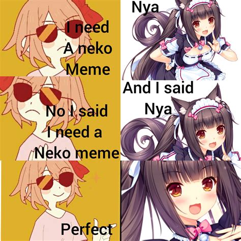 A Neko Meme Ranimemes