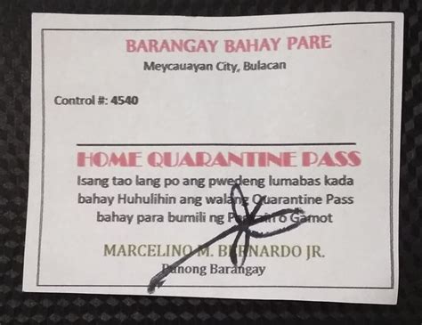 Barangay Quarantine Passes Not A National Policy Ncrpo My Xxx Hot Girl