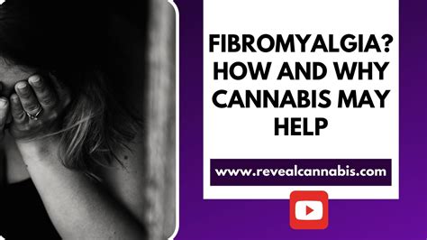 Fibromyalgia Why And How Cannabis Can Help Youtube