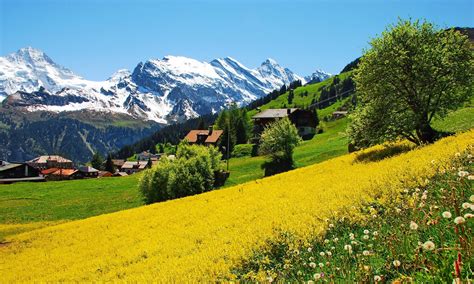 Switzerland Hd Wallpapers Hd Wallpapers High Definition