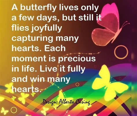 Lets Live Like Butterfly With Images Inspirational Words Of Wisdom