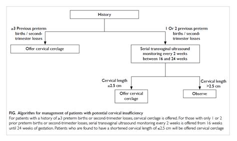 Indications For And Pregnancy Outcomes Of Cervical Cerclage 11 Year