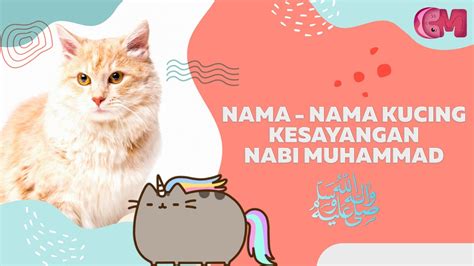 Daftar nama kucing korea ini dapat menjadi ide inspirasi yang menarik dan unik. Nama Kucing Islam - 81021+ Nama Untuk Kucing Comel, Lucu ...