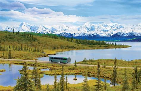 Denali National Park Tours Great Alaskan Backcountry Adventures
