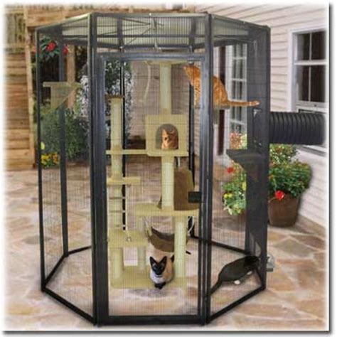 Large Cat Condo Ideas On Foter