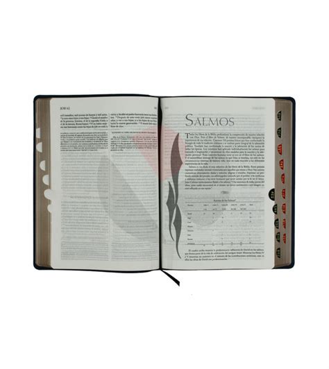 Biblia De Estudio Explicada Con Concordancia Rvr 1960 Simil Piel
