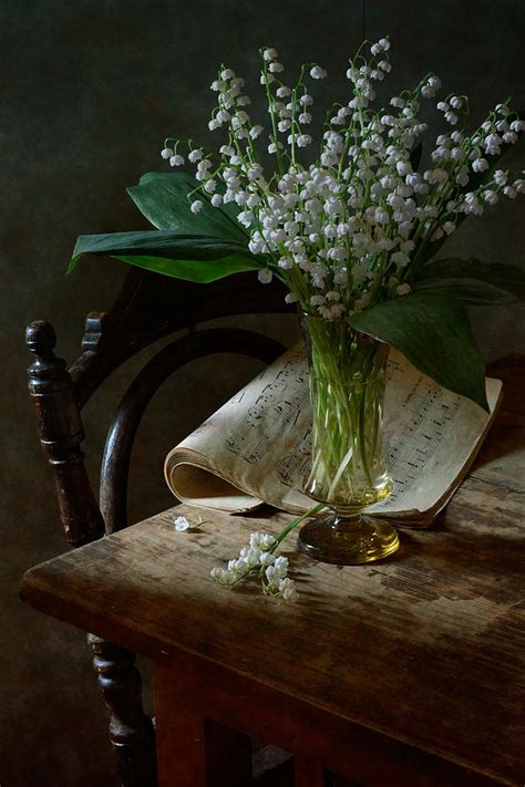 Lily Of The Valley Photograph By Nikolay Panov Pixels