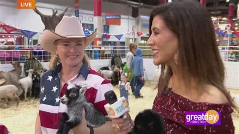 Houston petting zoo has been owned and operated by wild things zoofari since 2010. The Petting Zoo at the Houston Livestock Show and Rodeo ...