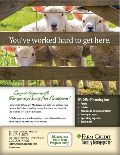 Montgomery County Extension Agriculture Fair August 11 12 2018 Alphin