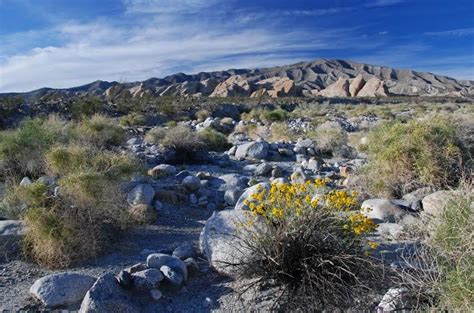 Borrego Springs Desert Town Makes Great Weekend Getaway Travel Buddy