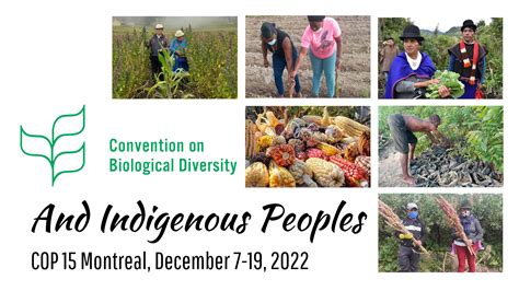 securing indigenous peoples rights and protecting biodiversity at cop15 cultural survival