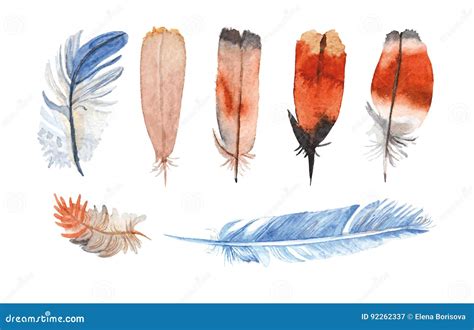 Watercolor Feathers Hand Painted Stock Vector Illustration Of