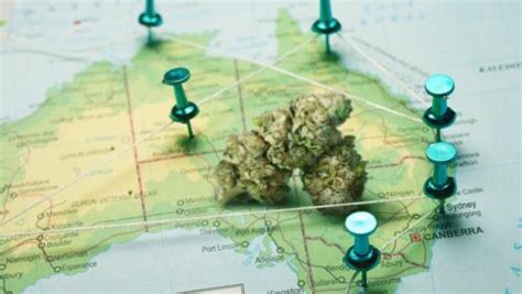 Canberra Becomes The First Australian City To Legalize Cannabis