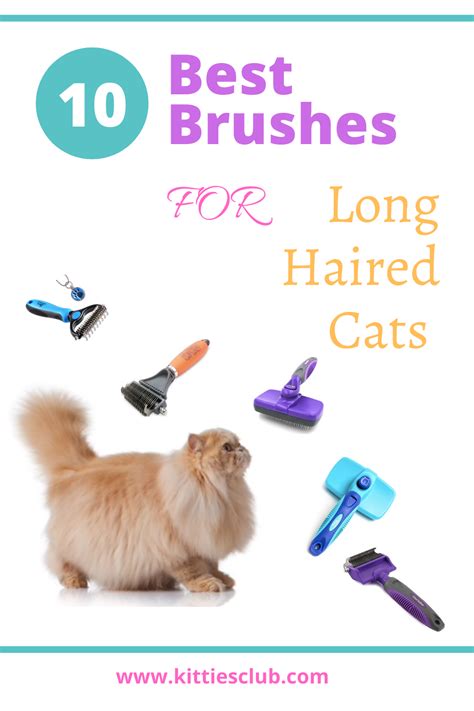 This is the essential tool for long haired cats, as it gets right start brushing just the outermost hair. Best Brushes for Long Haired Cat in 2020 in 2020 | Long ...