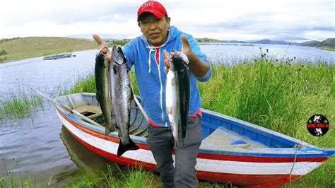Pesca De Truchas En Lagunas Truchas En Jaula Flotante Youtube