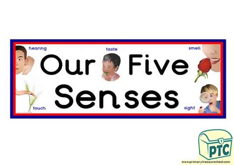 5 Senses Border