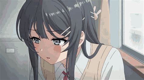 Seishun Buta Yarou Anime  Seishunbutayarou Anime Shy Discover