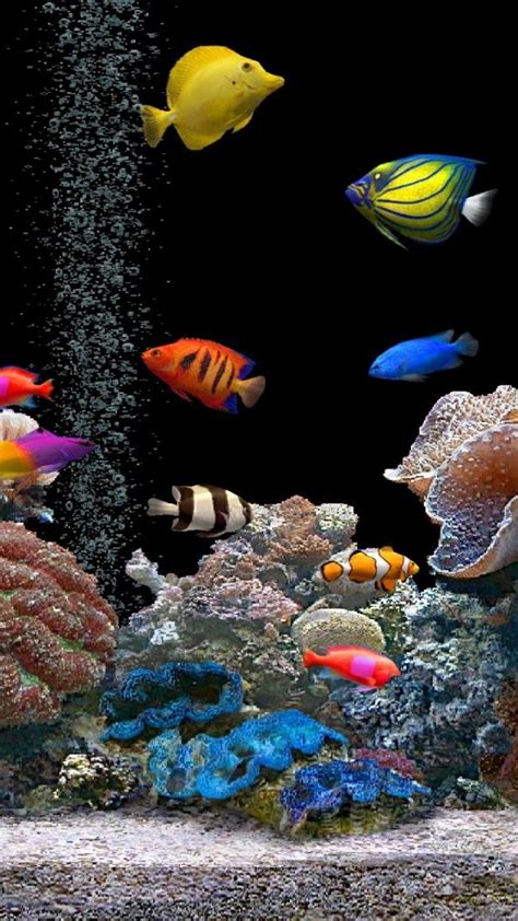 Wallpaper For Fish Tank