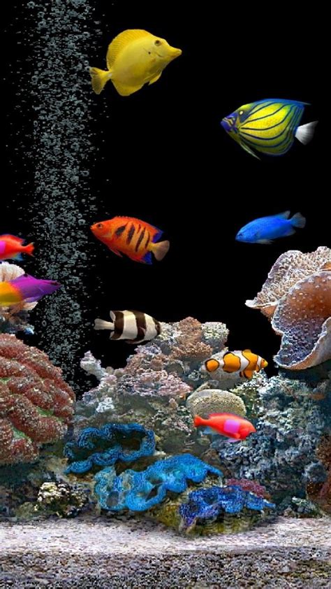 Underwater Aquarium 3d Wallpaper 50 3d Aquarium Wallpaper On