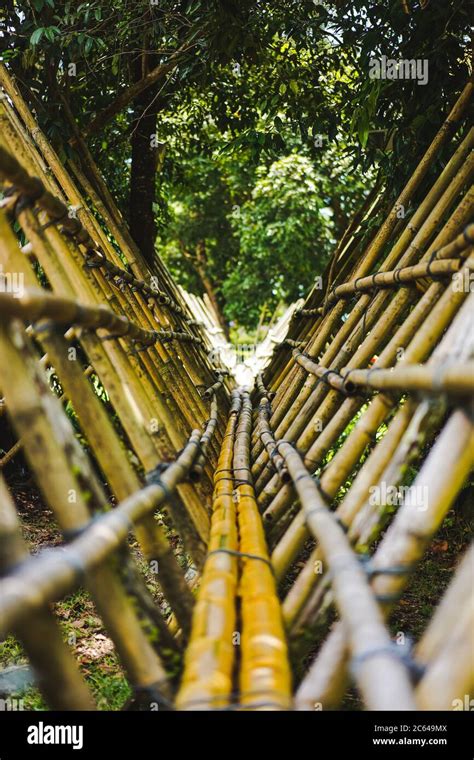 Bamboo Bridge Across A River Inside A Jungle Stock Photo Alamy