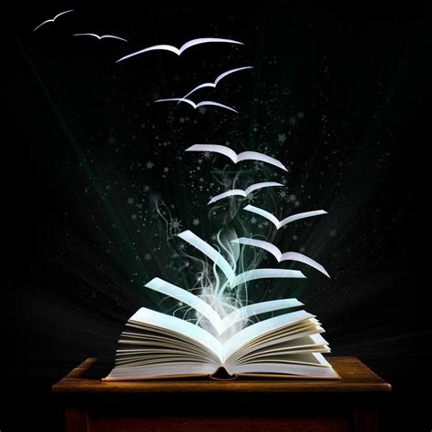 book lovers wallpapers wallpaper cave