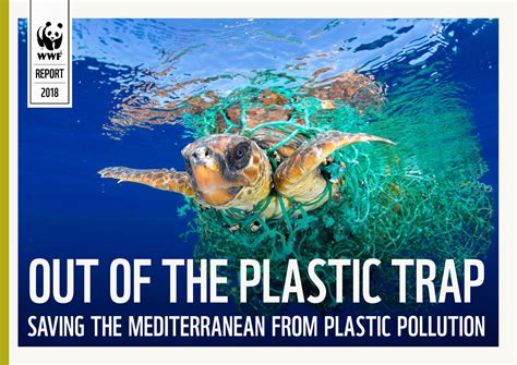 Plastic Pollution In Mediterranean Sea Threatens The