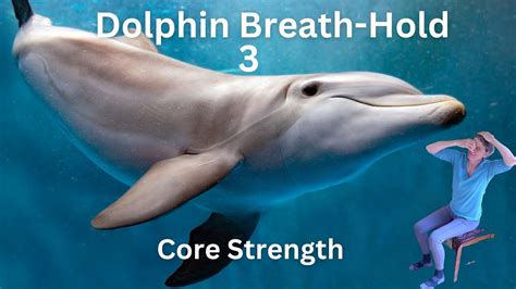 Dolphin Breath Hold 3 Core Strength Youtube