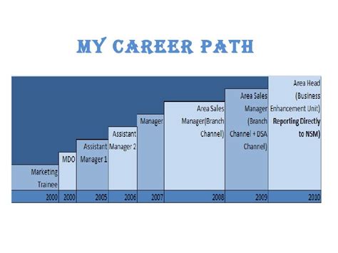 My Career Path