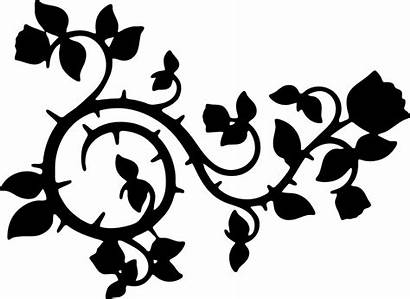 Roses Flowers Floral Pixabay Swoosh Vector Flourish