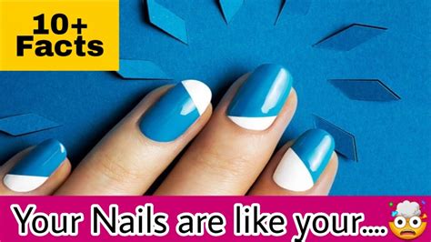 Interesting Facts About Nails Youtube