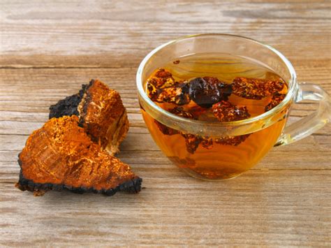 These important immune cells than cause an increased. Benefits & Side Effects of Chaga Tea | Organic Facts