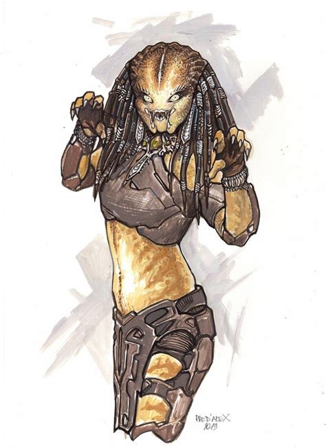 Artstation Designing The Huntress Female Predator 2018 2020 Full Project By Predalex