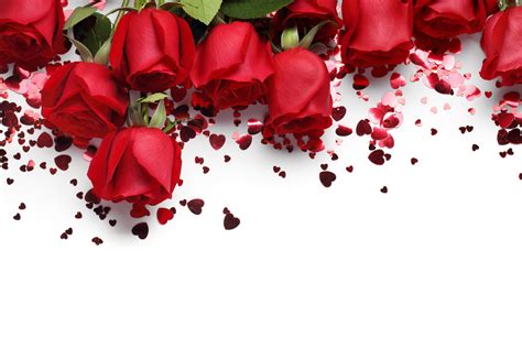 4k 5k 6k Valentines Day Roses Two Red Heart Drops Red