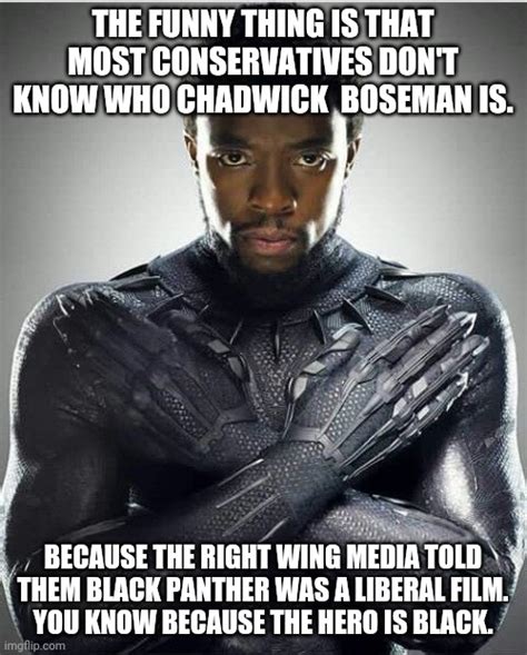 Black Panther Too Liberal For Cons Imgflip