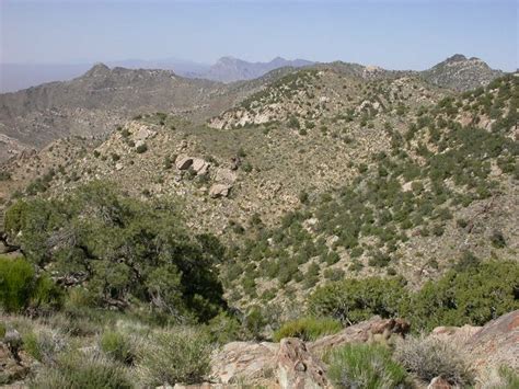 Photo Gallery Pinyon Juniper Woodland Sweeney Granite Mountains