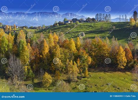 Autumn Foliage And Deep Blue Sky In The Mountains Stock Image Image